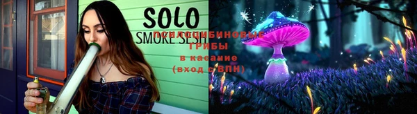 шишки Горняк