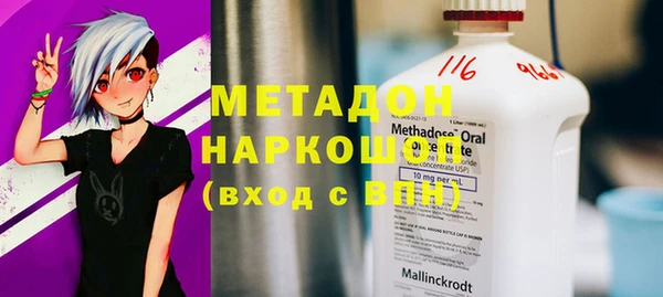 шишки Горняк