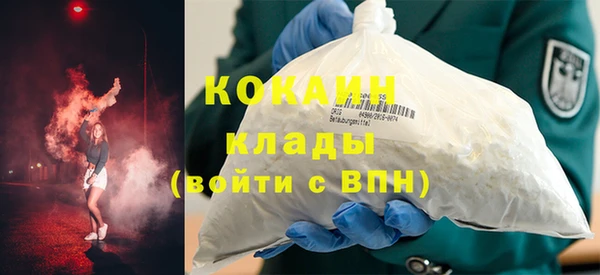 шишки Горняк
