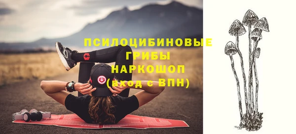 шишки Горняк