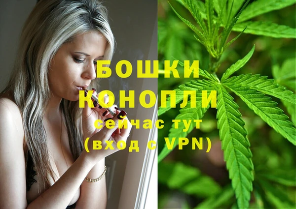 спиды Горно-Алтайск