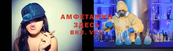 шишки Горняк