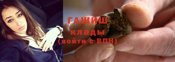 шишки Горняк