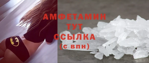 шишки Горняк