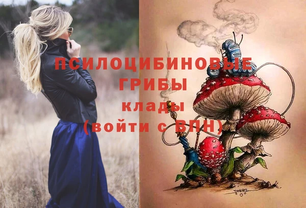 дживик Горнозаводск
