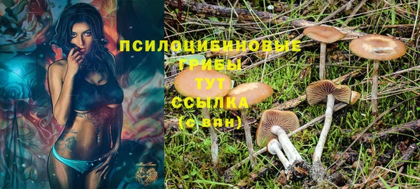 шишки Горняк