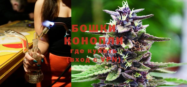 дживик Горнозаводск