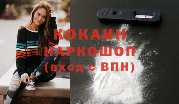 шишки Горняк