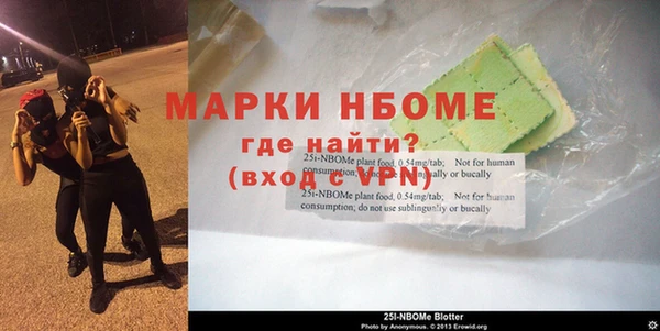 шишки Горняк