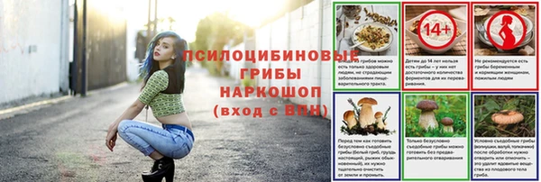 шишки Горняк