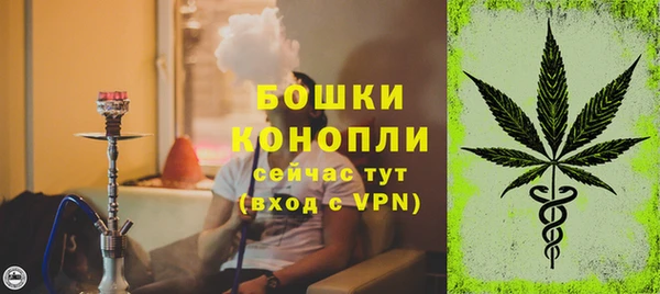 шишки Горняк