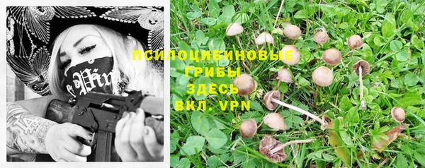 спиды Горно-Алтайск