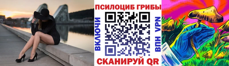 Купить  Краснозаводск  Галлюциногенные грибы Magic Shrooms 